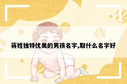 蒋姓独特优美的男孩名字,取什么名字好