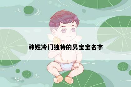 韩姓冷门独特的男宝宝名字