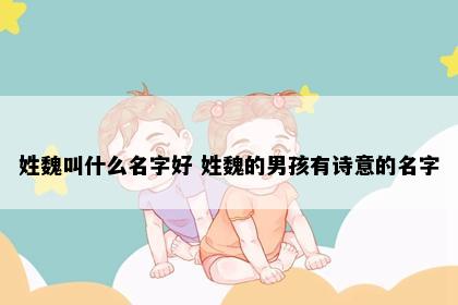 姓魏叫什么名字好 姓魏的男孩有诗意的名字